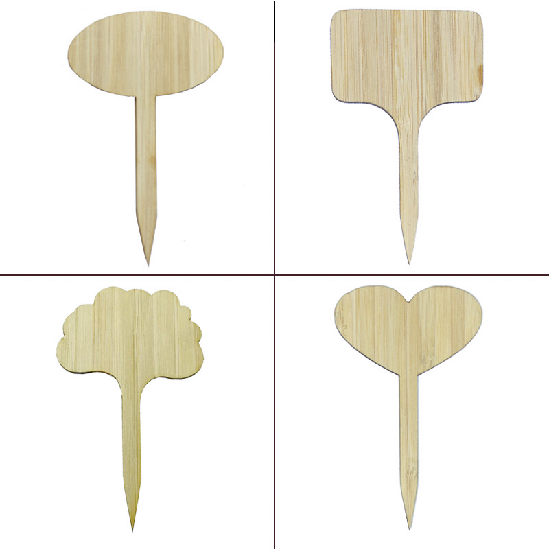 bamboo
